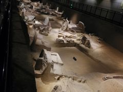 -洛阳周王城天子驾六博物馆