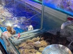-四海蒸鲜蒸汽海鲜自助(北戴河店)