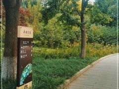 -丰台花园