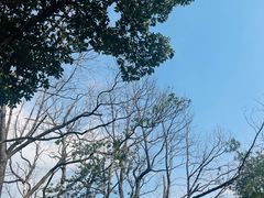 -石燕湖生态旅游景区