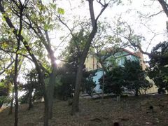 -青岛德国总督楼旧址博物馆