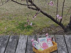 -上海山野camping·户外天幕烧烤·团建拓展营地