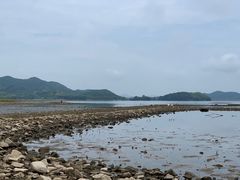 -四明山国家森林公园
