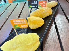 -榴莲BB 四季果园