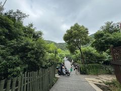 -树山生态村