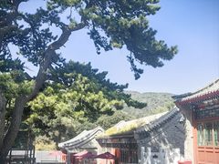 -妙峰山风景名胜区