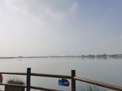 -鹅湖玫瑰文化园