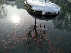 -水磨沟公园