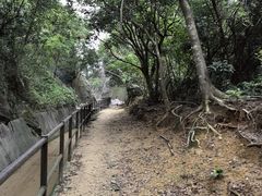 -狮子山郊野公园