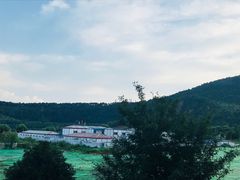 -西湾土八灶· 旺山老字号农家菜