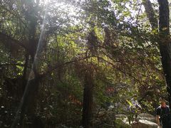 -白马涧龙池景区