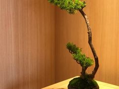 -文三酒肆自助放题(新街口友谊广场店)