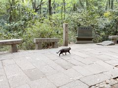 -普陀山慧济禅寺