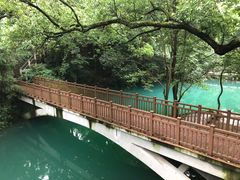 -之江大学-旧址