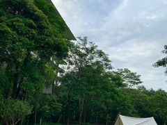-隐秀山居酒店大堂吧