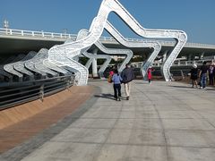 -演武大桥观景平台