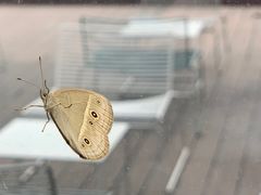 -UNI UNI(环亚凯瑟琳店)