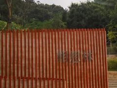 门面-银湖山郊野公园-相思林