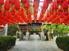 -大槐树寻根祭祖园