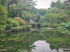 -秋霞圃