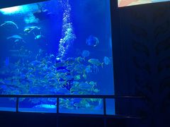 -太平洋海底世界博览馆·展览厅