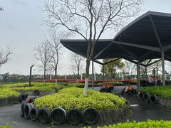 -季高兔窝窝亲子园(上海薰衣草公园店)