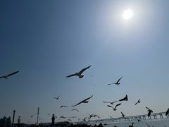 -星海广场