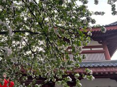 -大唐博相府酒店·陕西官府菜