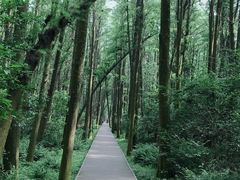 -同里国家湿地公园