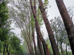 -东郊湿地公园