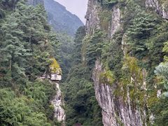 -苍山感通索道
