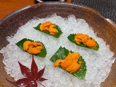 -月龍吟(朝龙汇店)