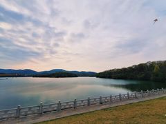 -佛手湖郊野公园