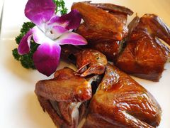 脆皮乳鸽-新南华大酒店(长寿店)