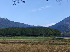 -八卦田遗址公园