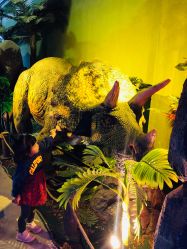 -恐龙探索乐园(磁器口店)