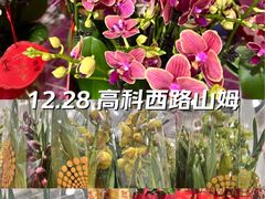-山姆会员商店(上海浦东店)