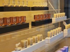 -极光口腔·矫正种植修复(锦江店)