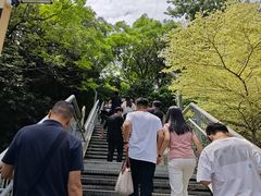 -佛山华盖山公园