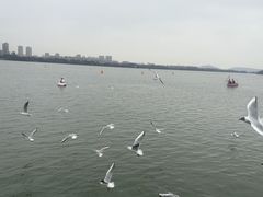 -蠡湖大桥公园