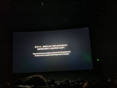 -CGV影城(壹方城IMAX店)