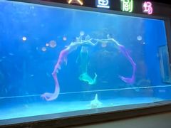 -邯郸海洋世界