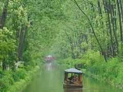 -合肥滨湖国家森林公园