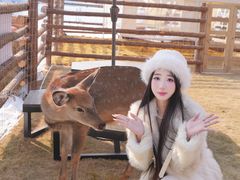 -盈香心动乐园