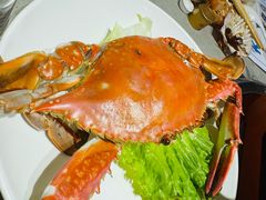 -大锅强·蒸海鲜青岛菜(城市阳台店)