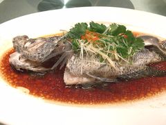 -顺峰(农展馆店)
