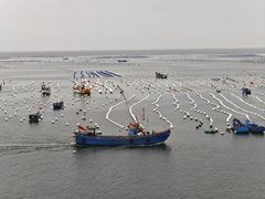 -枸杞岛
