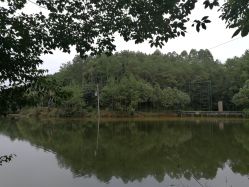 -成都飞越丛林探险乐园(锦绣城园区)