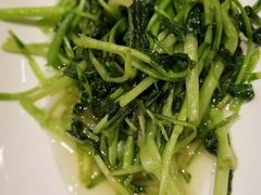 -椿1978江湖菜