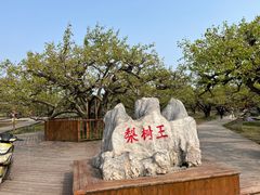 -徽镇小厨·经典徽菜(十里河店)